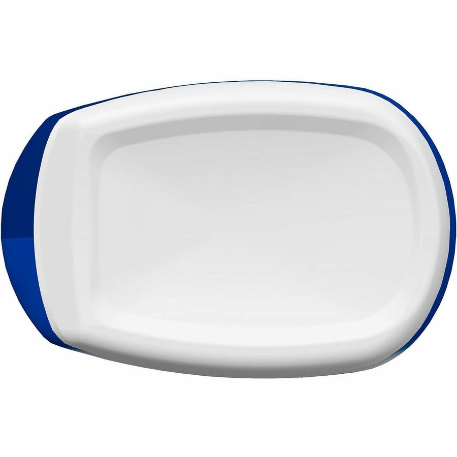 CloroxPro™ Toilet Bowl Cleaner with Bleach