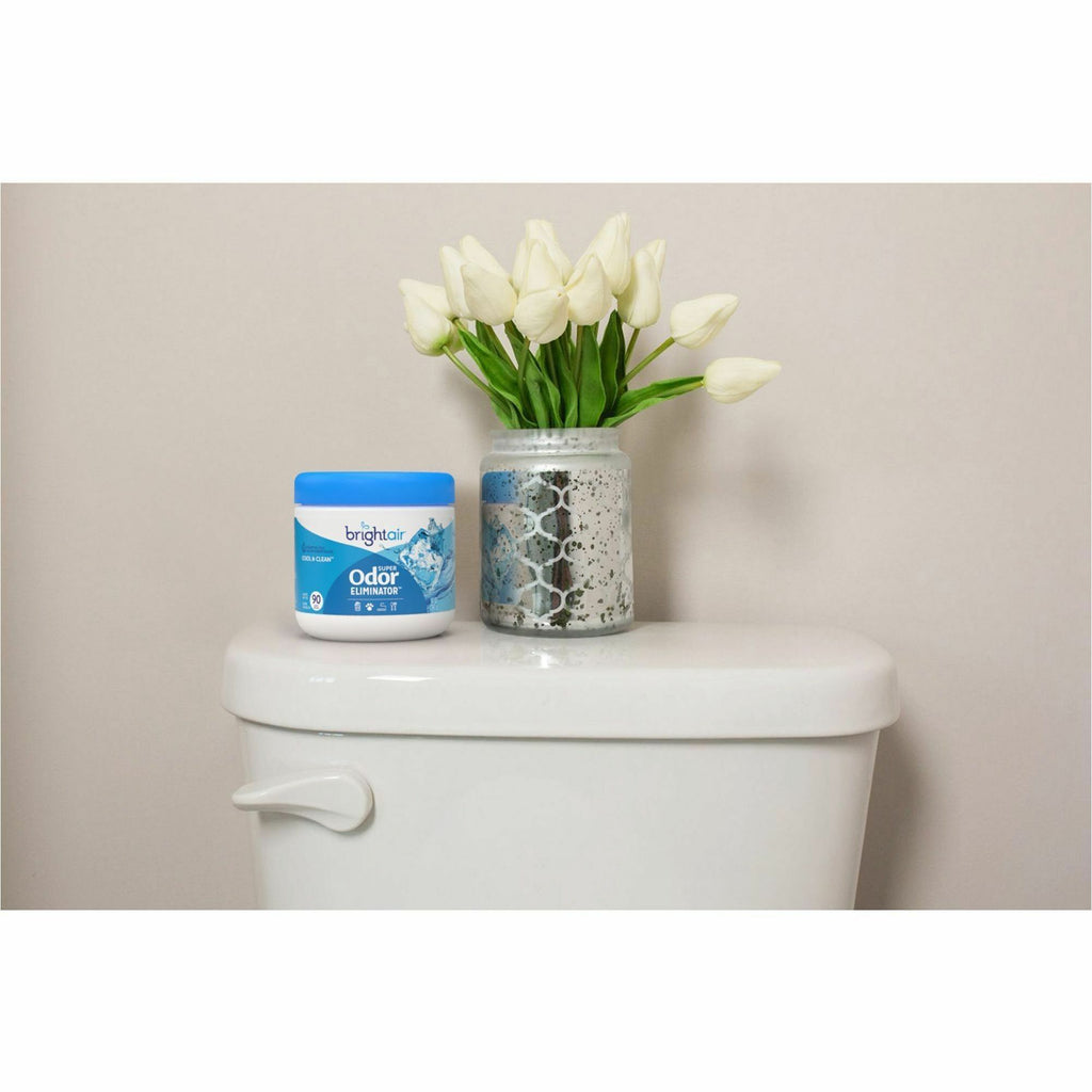 Bright Air Super Odor Eliminator Air Freshener