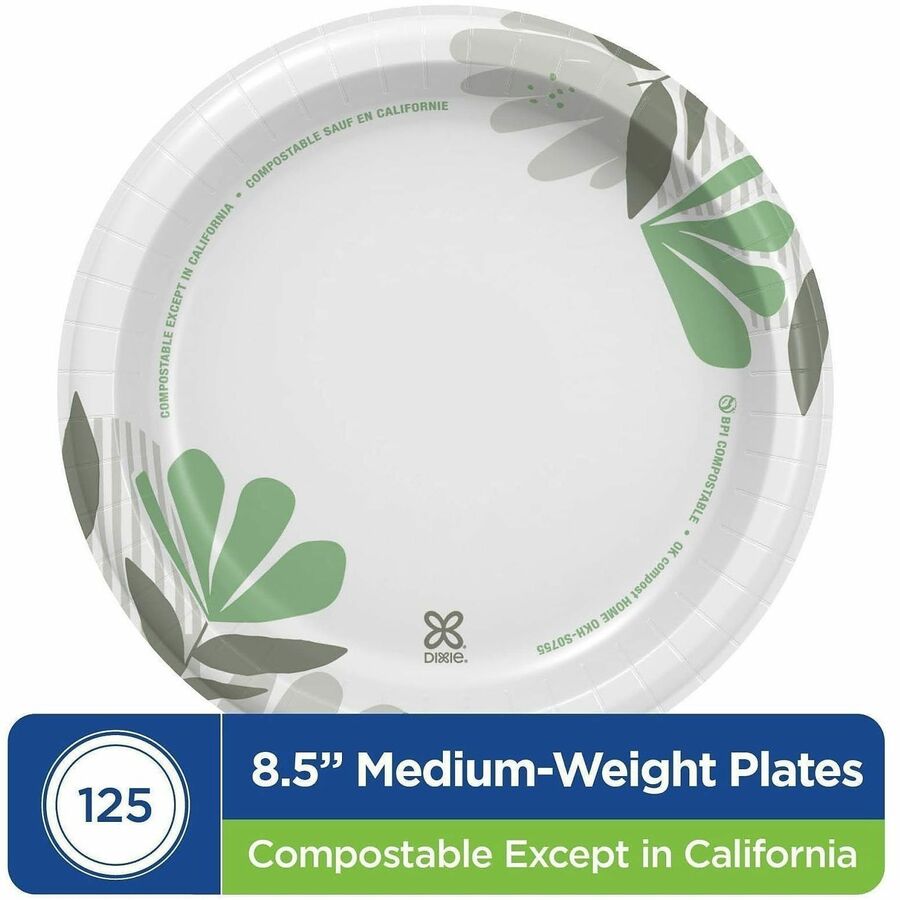 Dixie Foods Pathways Design Everyday Paper Plates