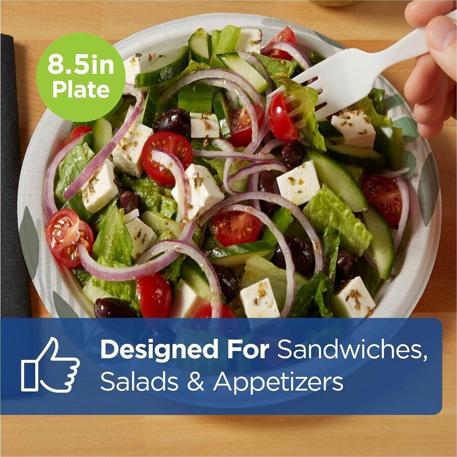 Dixie Foods Pathways Design Everyday Paper Plates