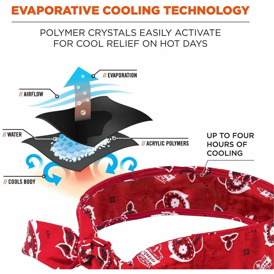Ergodyne Chill-Its 6700 Cooling Bandana