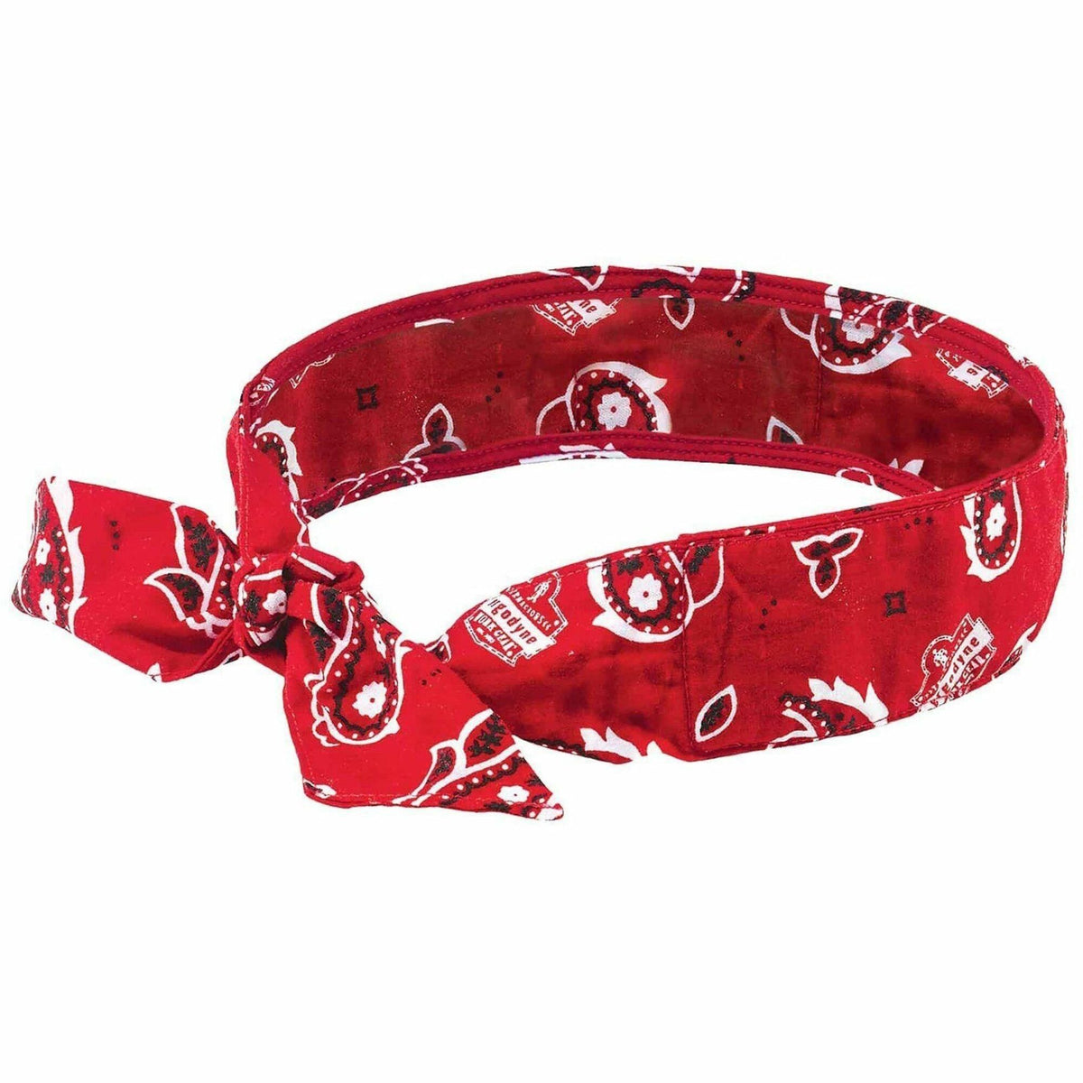 Ergodyne Chill-Its 6700 Cooling Bandana