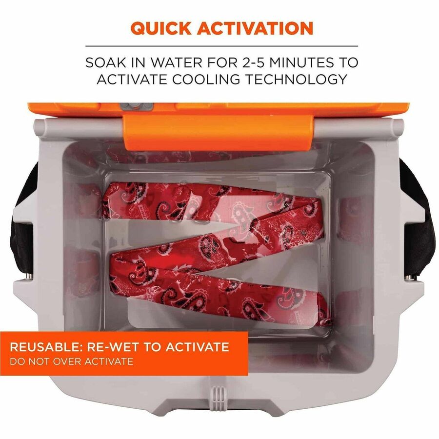 Ergodyne Chill-Its 6700 Cooling Bandana