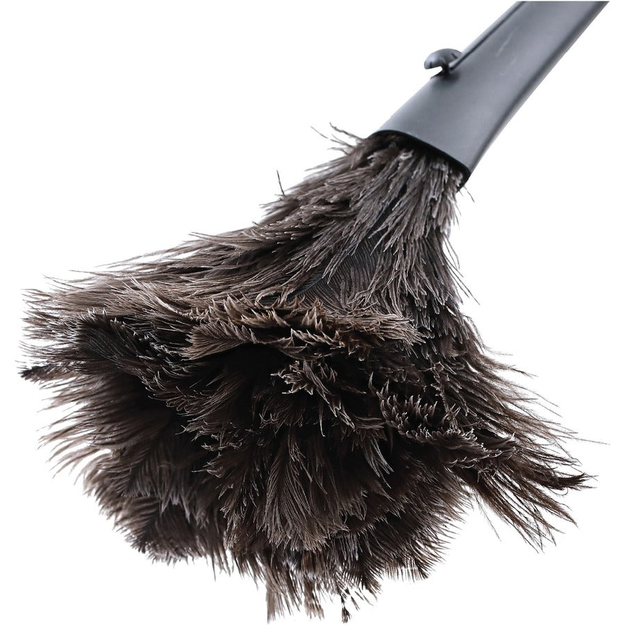 Genuine Joe Retractable Feather Duster
