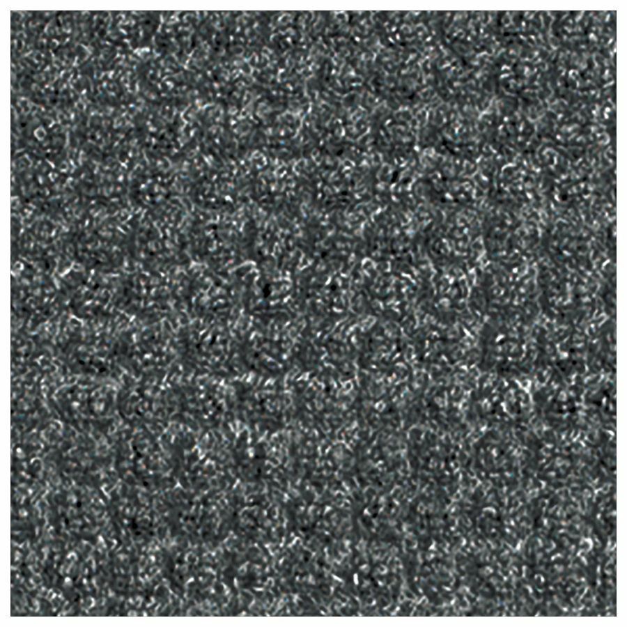 Guardian Floor Protection WaterGuard Wiper Scraper Indoor Mat