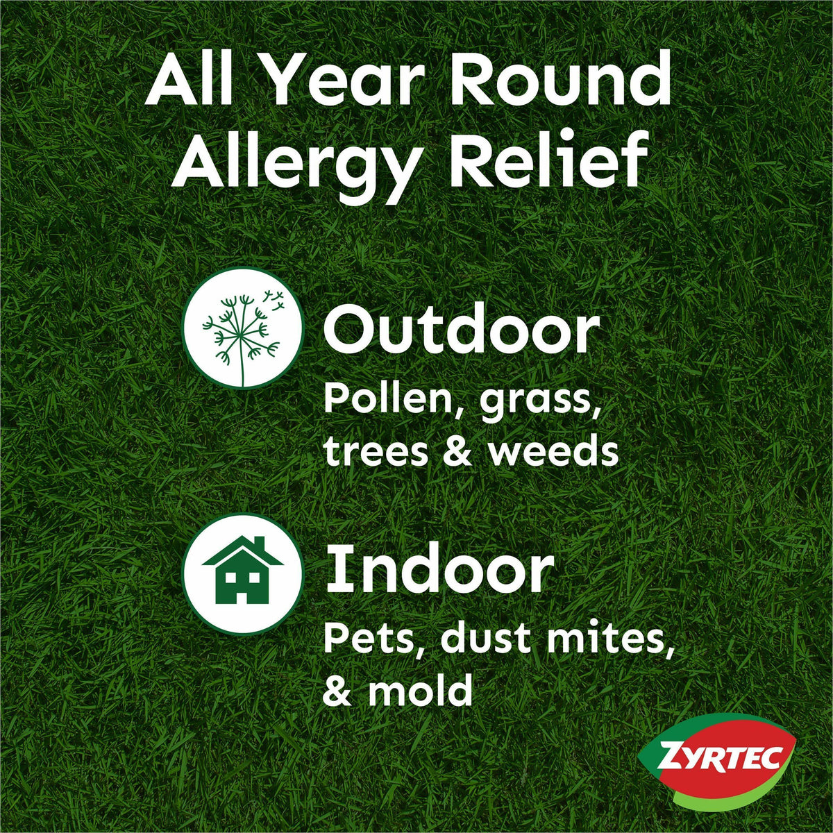 Zyrtec Allergy Tablets
