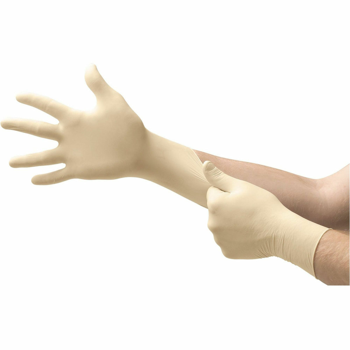 Ansell TouchNTuff Disposable Gloves