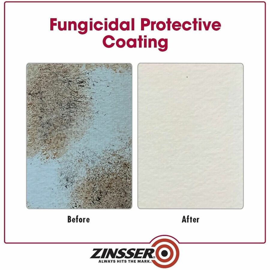 Zinsser Mold Killing Primer