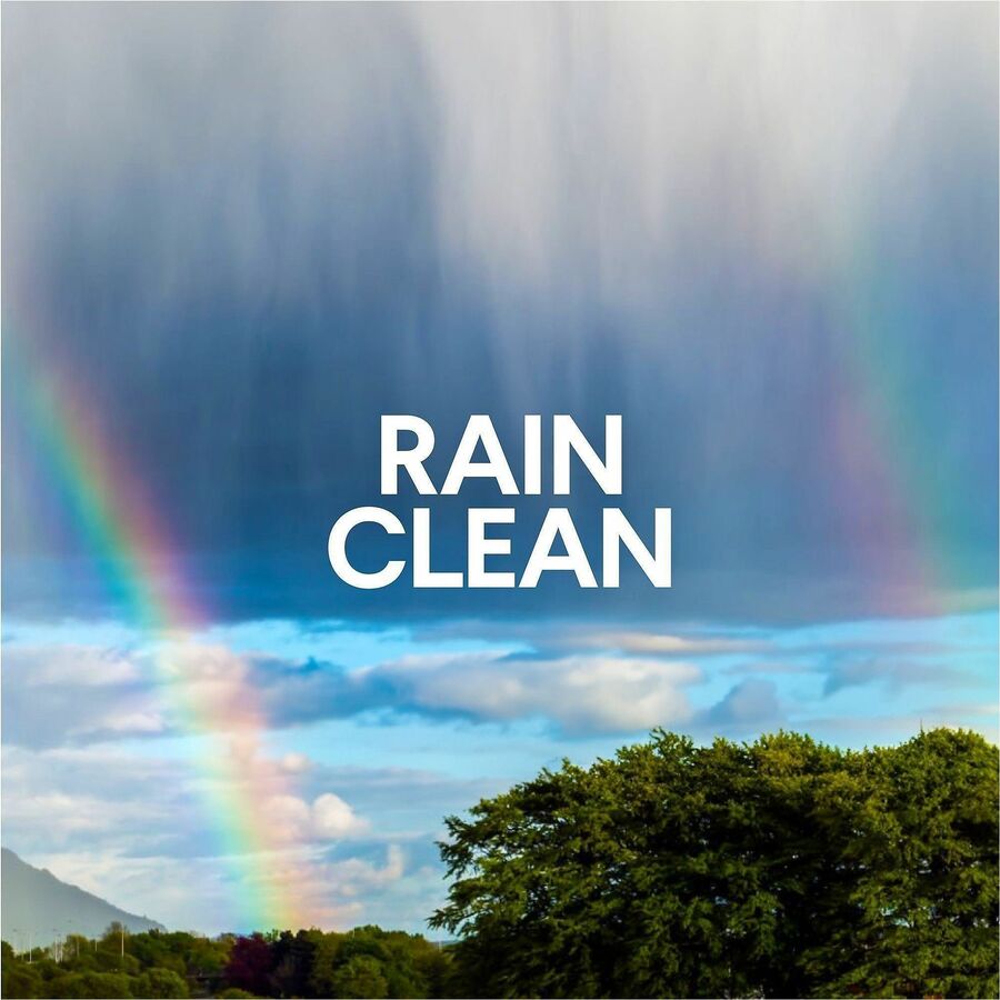 Clorox Clean-Up Multi-Surface Cleaner with Bleach
