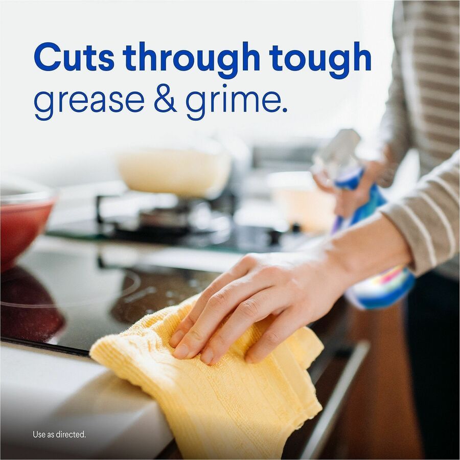 Clorox Clean-Up Multi-Surface Cleaner with Bleach