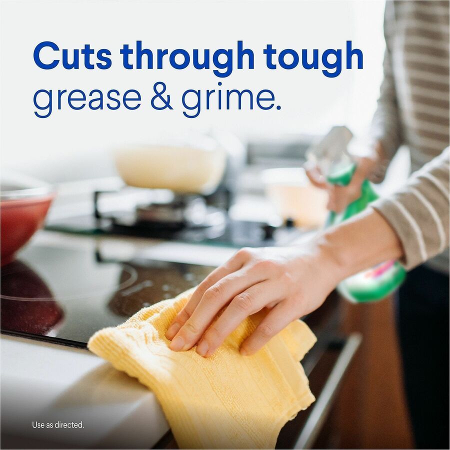 Clorox Clean-Up Multi-Surface Cleaner with Bleach