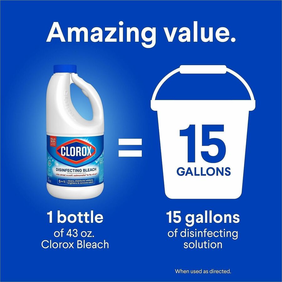 Clorox Disinfecting Bleach