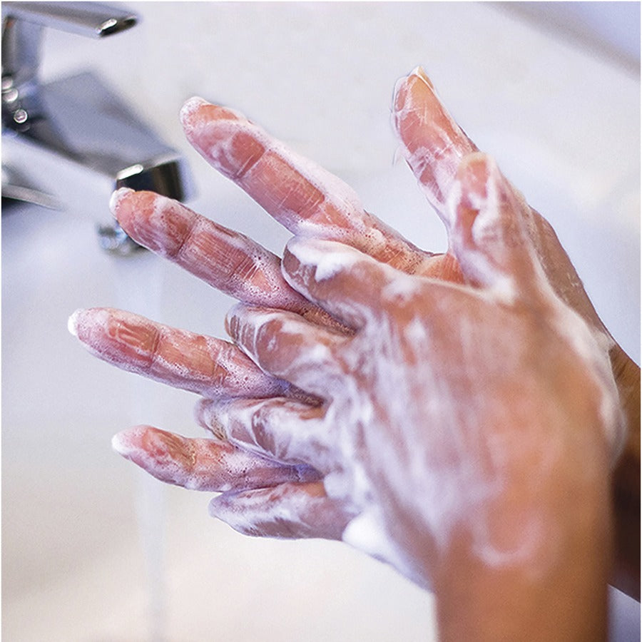 Safeguard Antibacterial Hand Soap