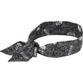 Ergodyne 6700 Cooling Bandana