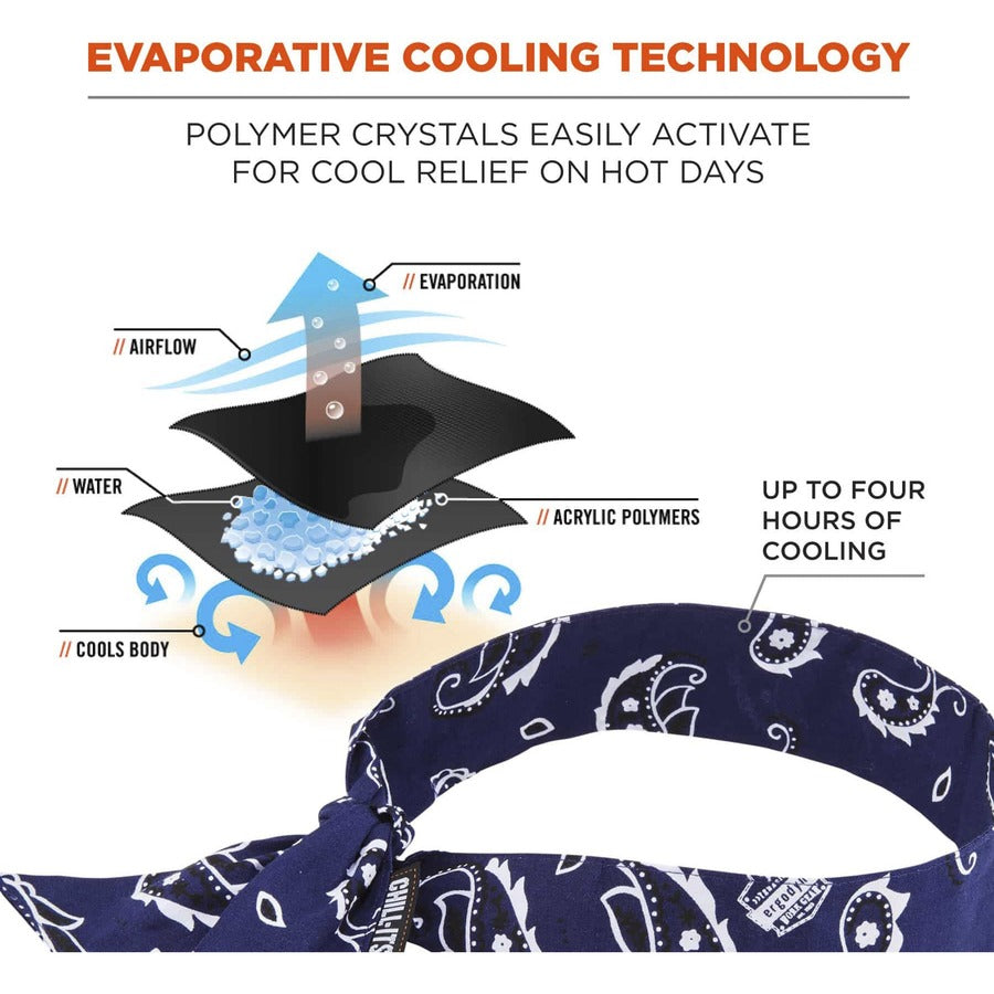 Ergodyne 6700 Cooling Bandana