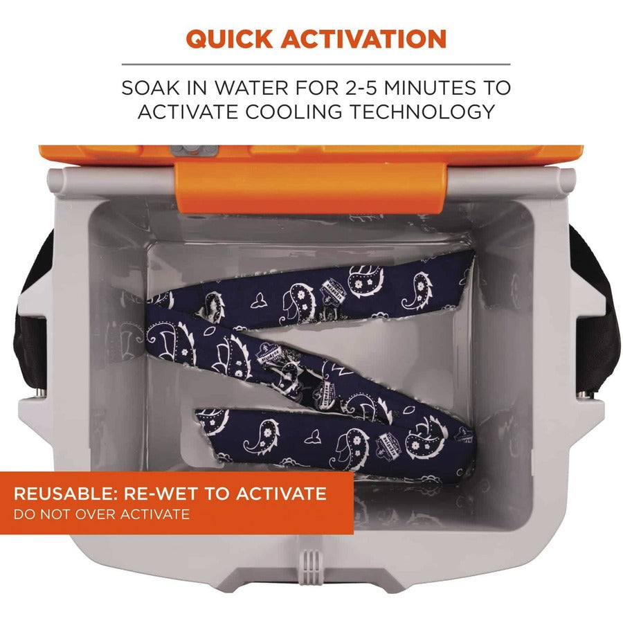 Ergodyne 6700 Cooling Bandana