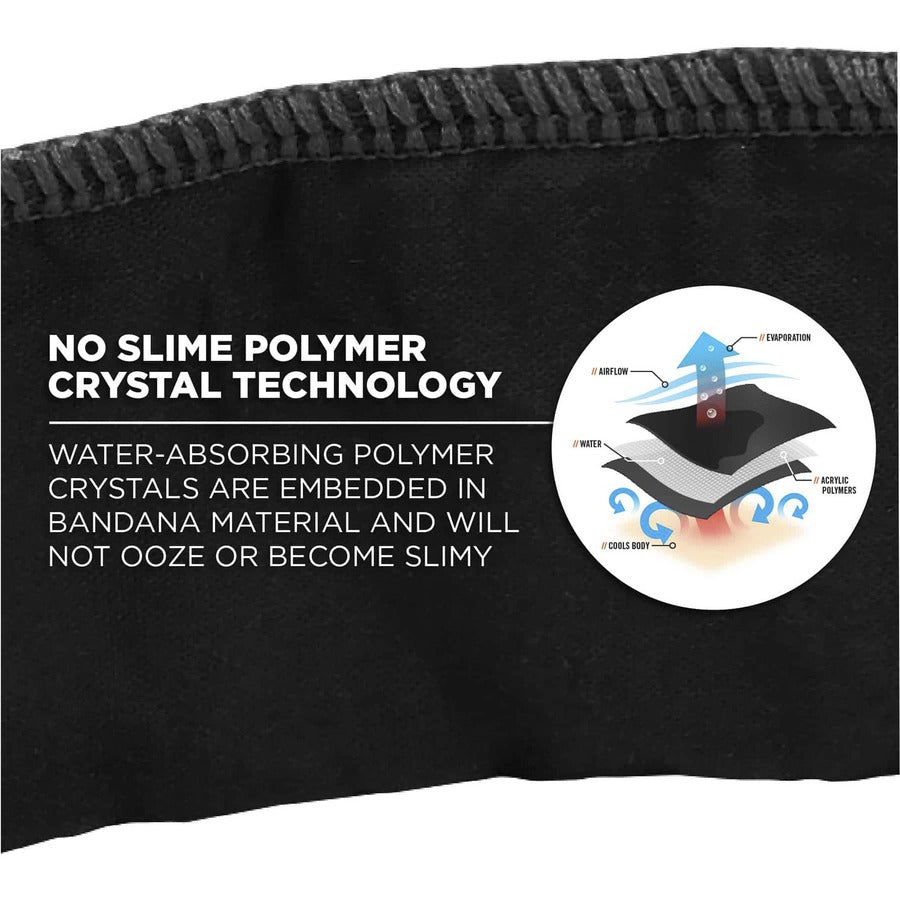 Ergodyne 6702 Cooling Bandana