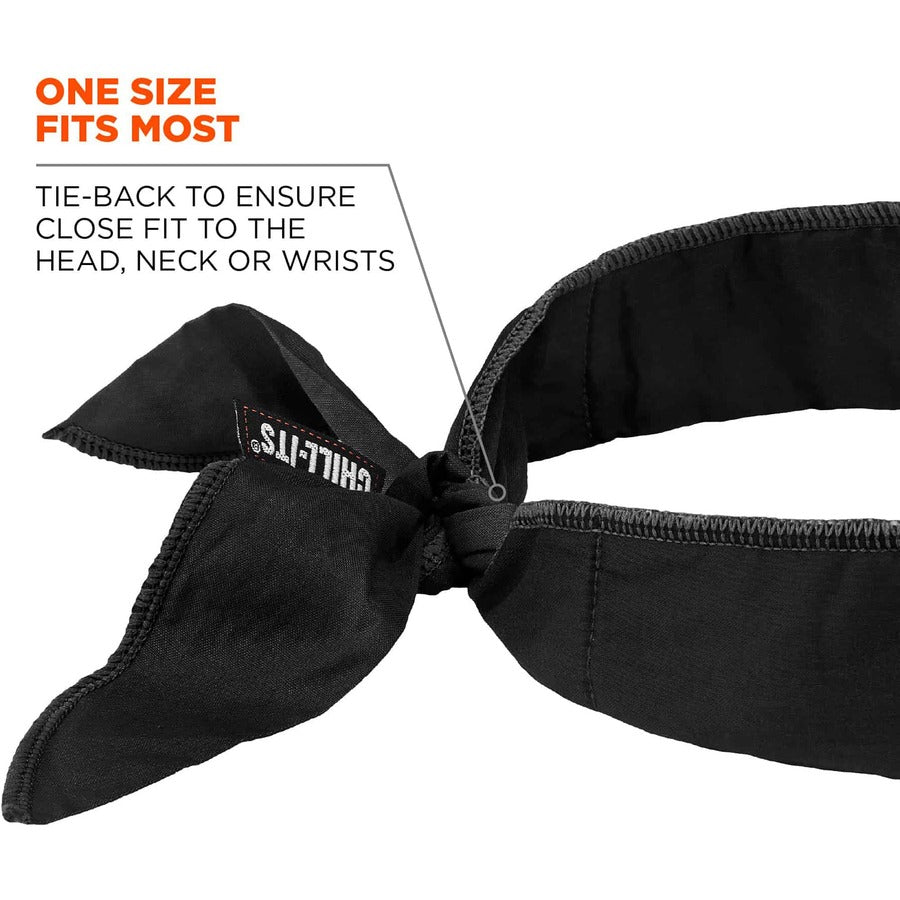 Ergodyne 6702 Cooling Bandana