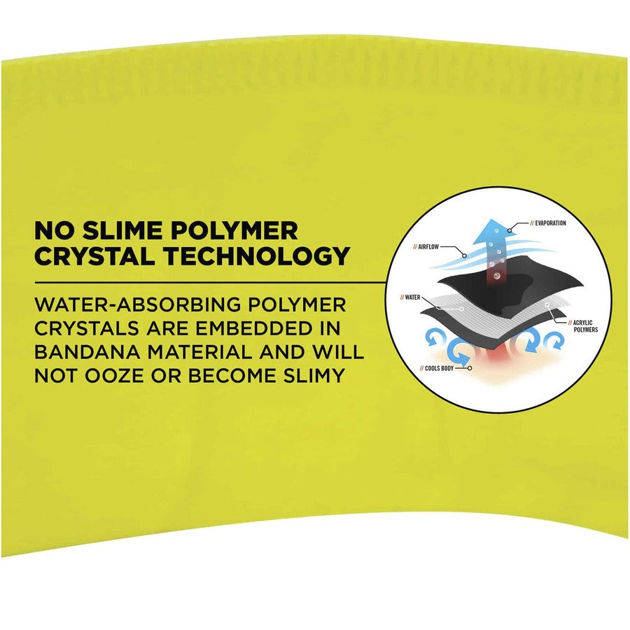 Ergodyne 6702 Cooling Bandana