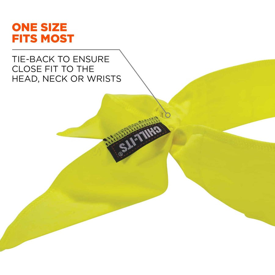 Ergodyne 6702 Cooling Bandana