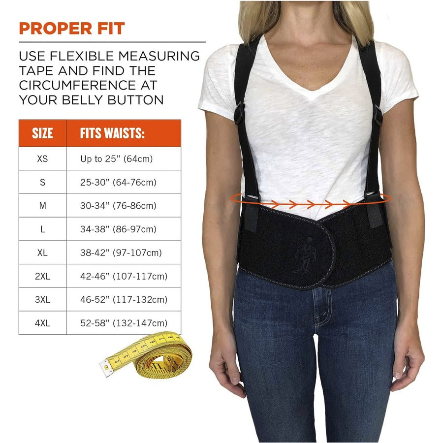Ergodyne ProFlex 1600 Standard Back Support Brace