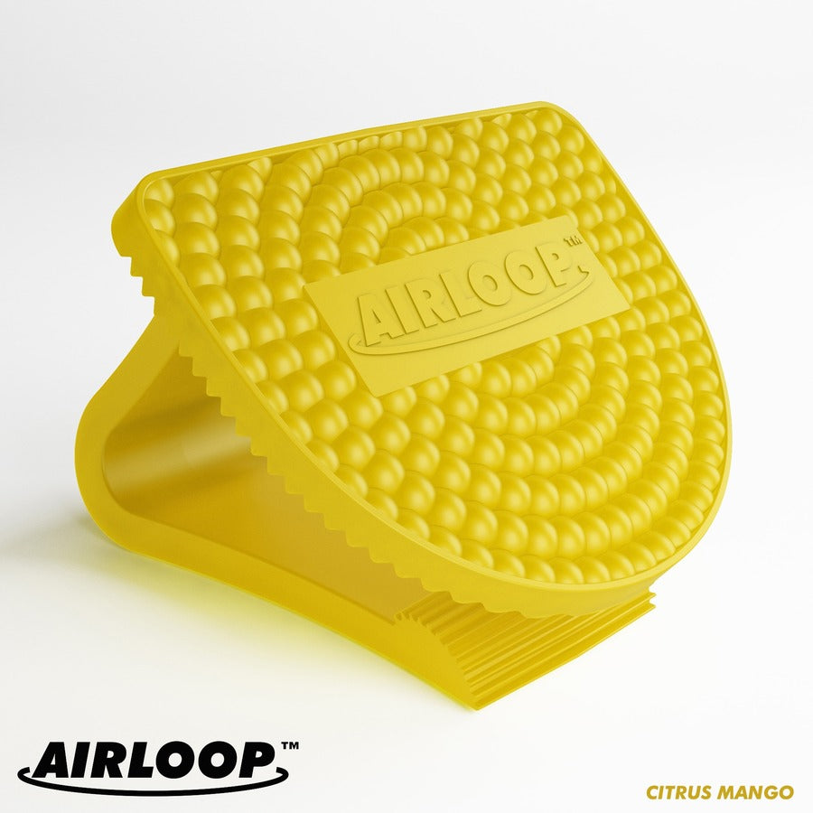 Vectair Systems Airloop Toilet Bowl Clip Air Freshener