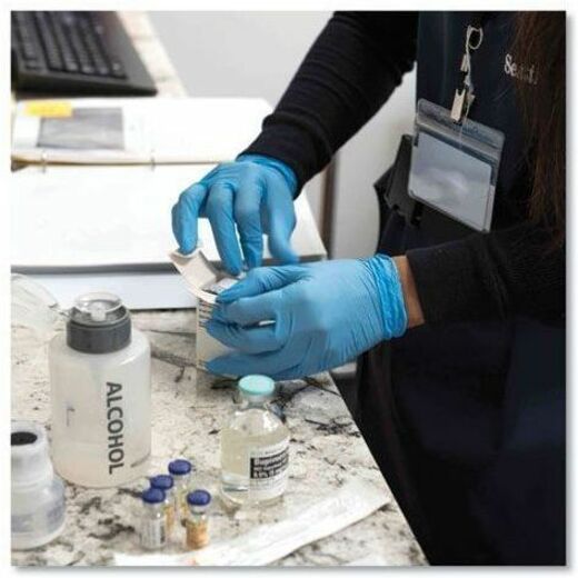 Ammex Examination Gloves