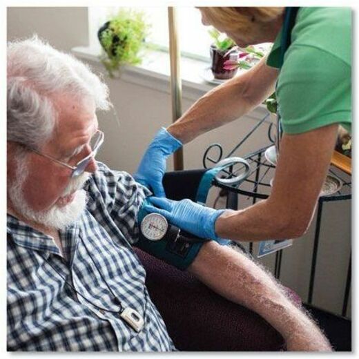 Ammex Examination Gloves