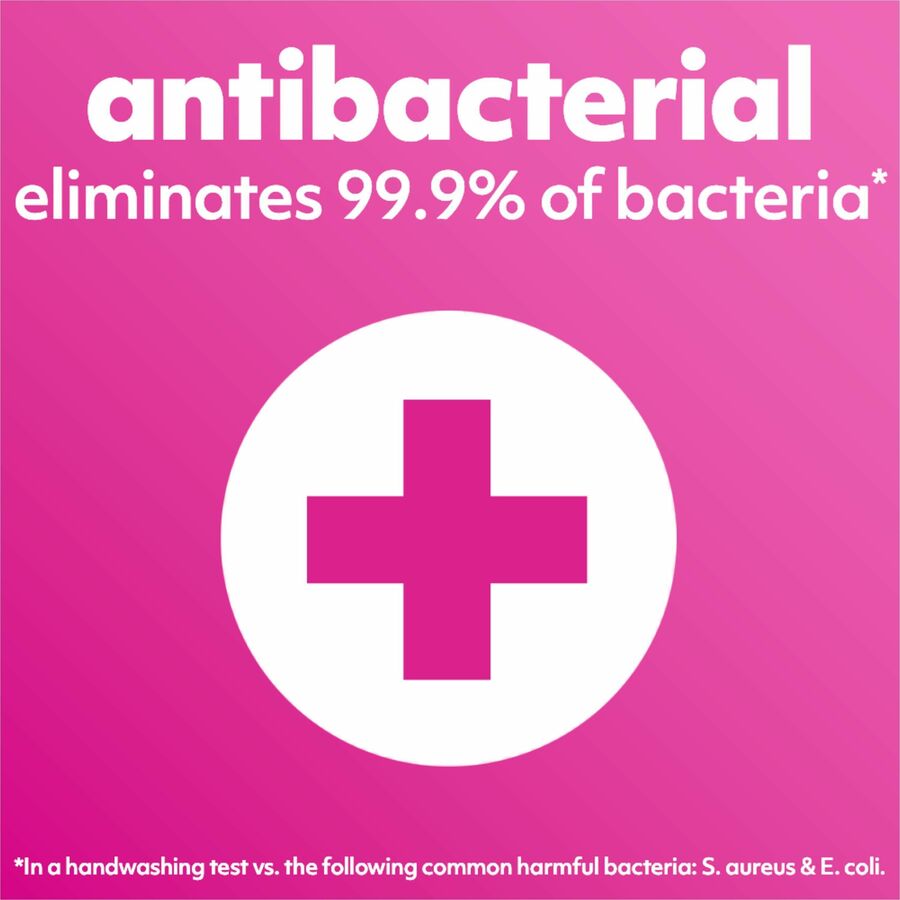 Softsoap Antibacterial Soap Pump