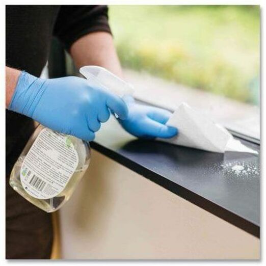 Ammex Gloveworks Blue Nitrile PF Ind LG Gloves