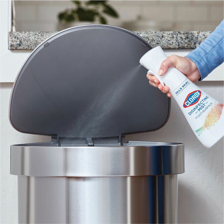 Clorox Disinfecting, Sanitizing & Antibacterial