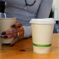 World Centric NoTree Paper Hot Cups