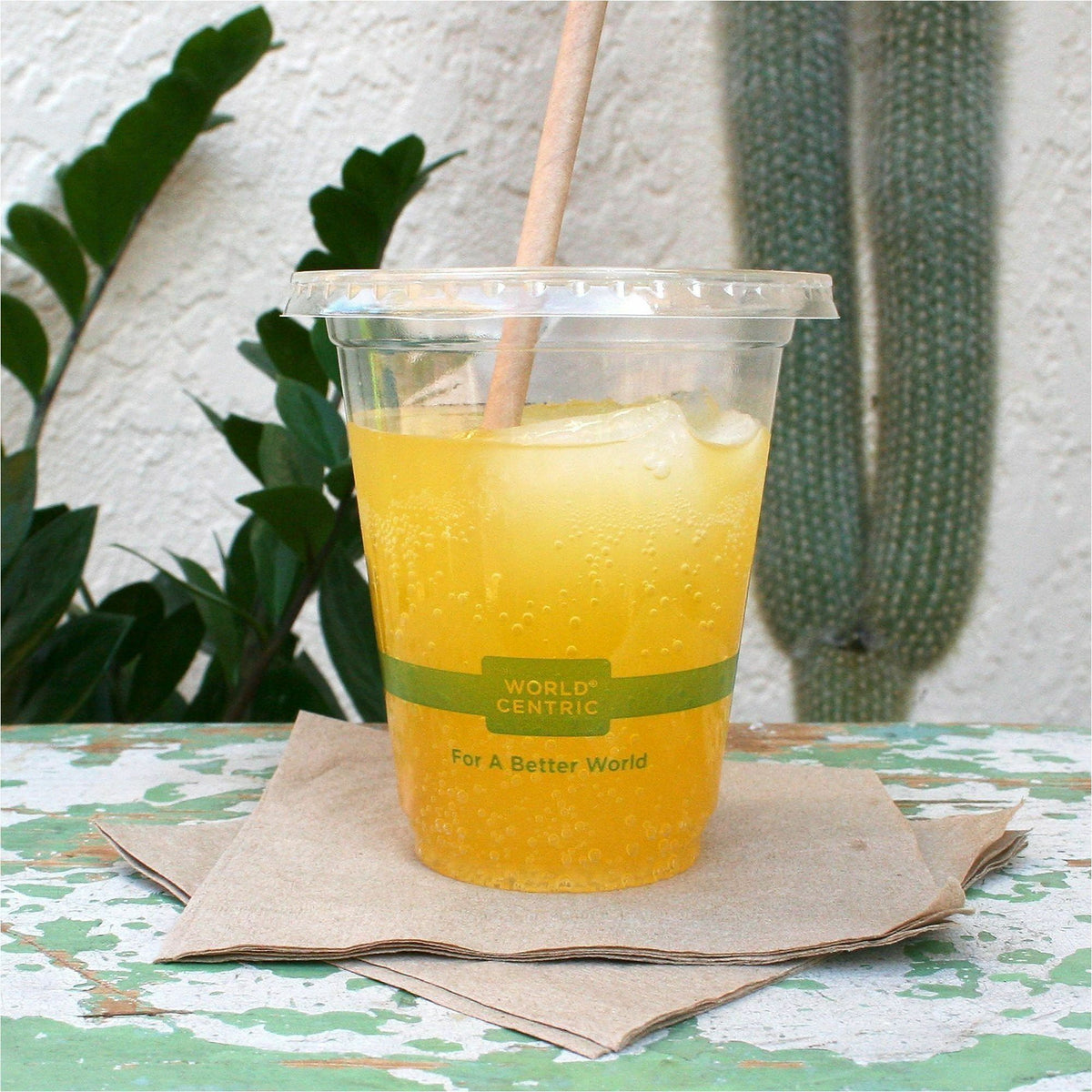World Centric Compostable Clear Straw Lids