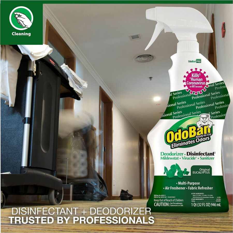 OdoBan Eucalyptus Deodorizer Disinfectant Spray