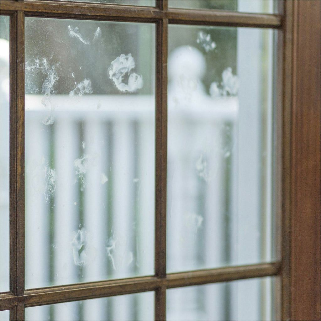Rust-Oleum Professional Ammonia-Free Glass Cleaner