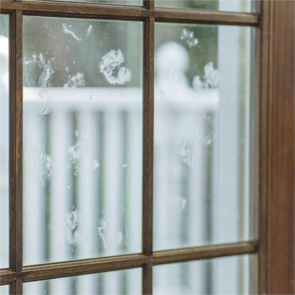 Rust-Oleum Professional Ammonia-Free Glass Cleaner