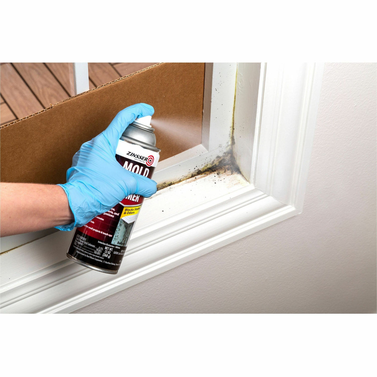 Zinsser Mold Killing Primer
