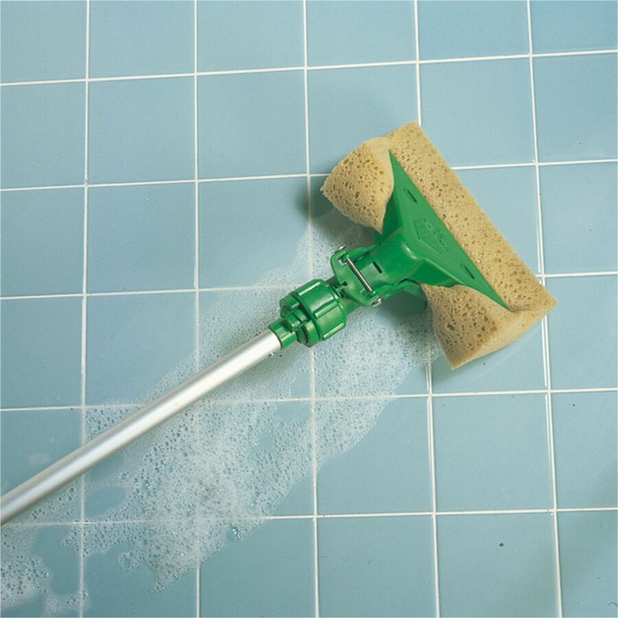 Unger The Sponge