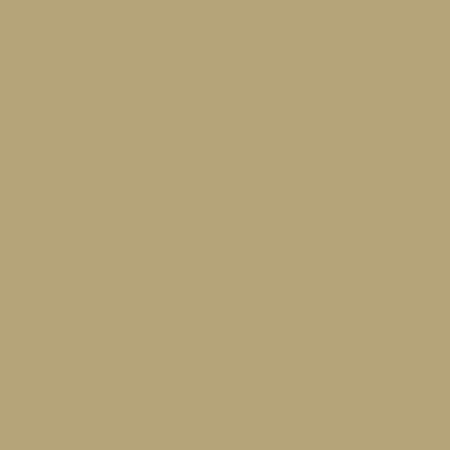 Rust-Oleum Modified Urethane Latex Epoxy (MULE)