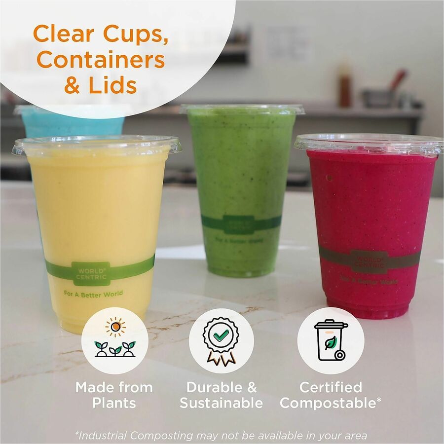 World Centric Compostable Clear Hinged Container