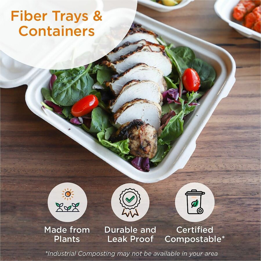 World Centric Compostable Fiber Hinged Containers