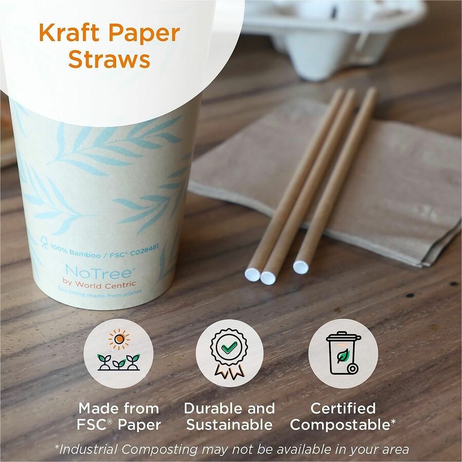World Centric Compostable Kraft Paper Straws