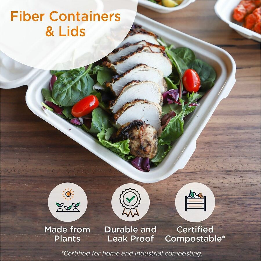 World Centric Compostable Fiber Hinged Containers