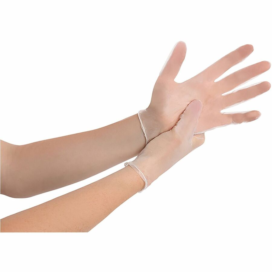 Remcoda Powder-Free Vinyl Gloves
