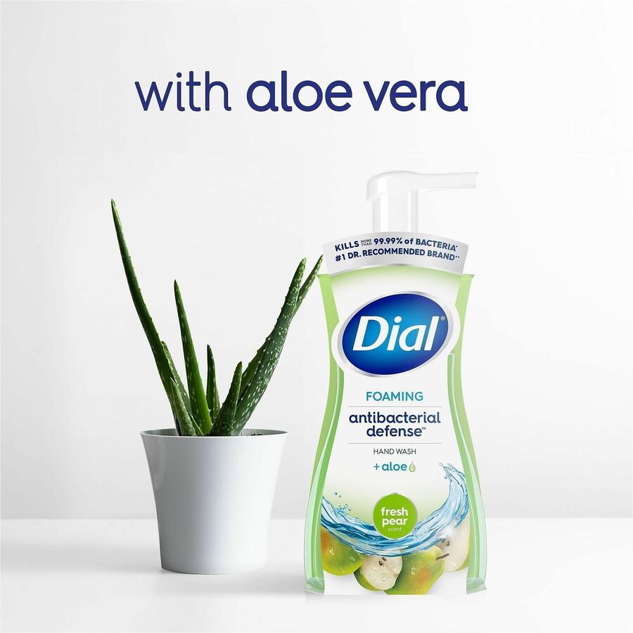 Dial Foaming Hand Wash