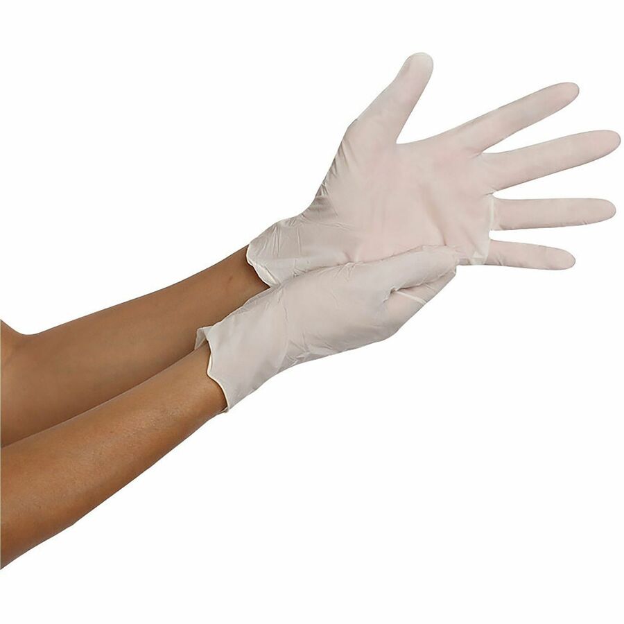 Remcoda Powder-Free Latex Gloves