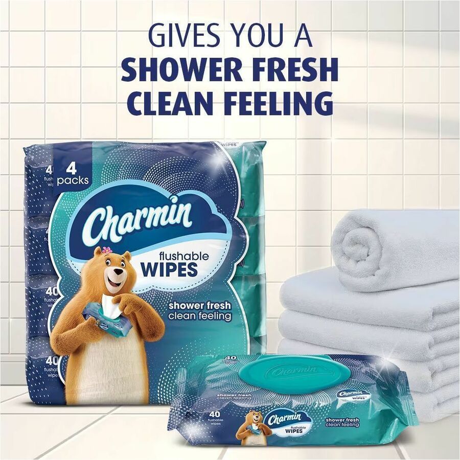 Charmin Flushable Wet Wipes