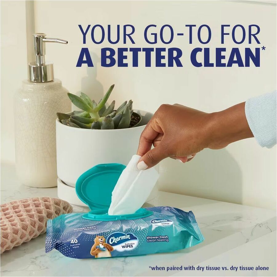 Charmin Flushable Wet Wipes