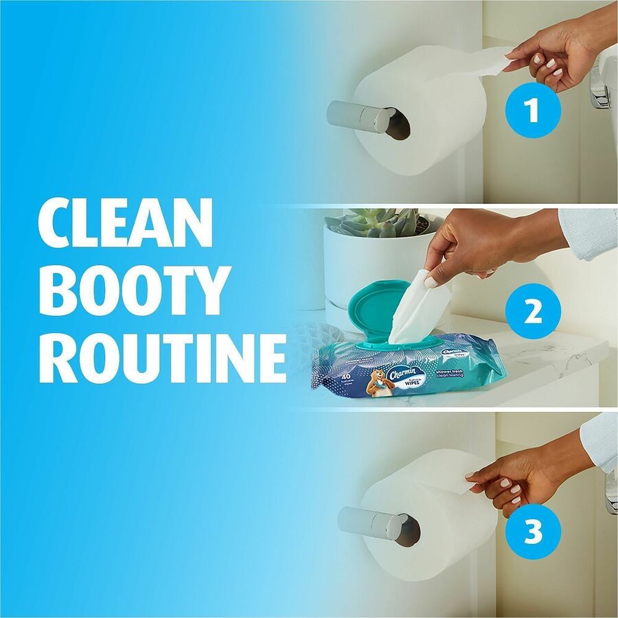 Charmin Flushable Wet Wipes