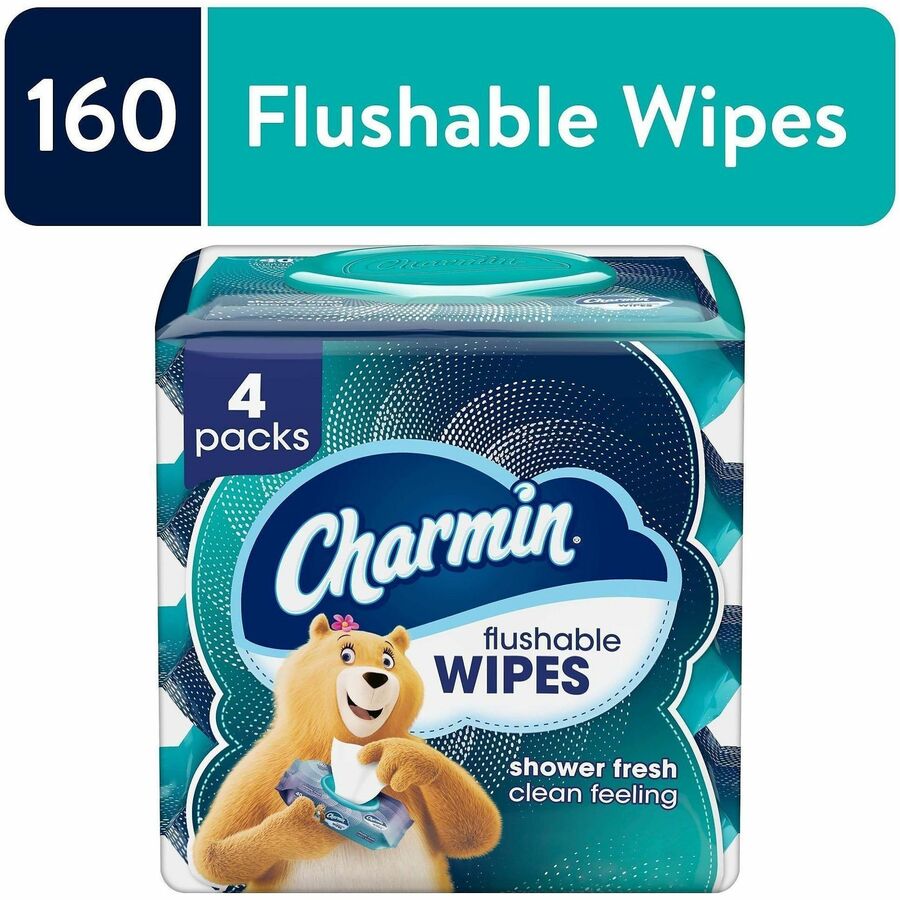 Charmin Flushable Wet Wipes